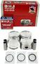 DNJ Engine Components Piston Set