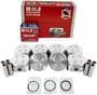 DNJ Engine Components Piston Set