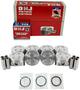 DNJ Engine Components Piston Set