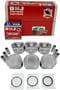 DNJ Engine Components Piston Set