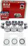 DNJ Engine Components Piston Set