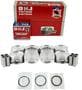 DNJ Engine Components Piston Set