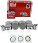 DNJ Engine Components Piston Set