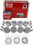 DNJ Engine Components Piston Set