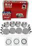 DNJ Engine Components Piston Set