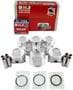 DNJ Engine Components Piston Set