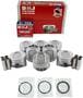 DNJ Engine Components Piston Set