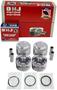 DNJ Engine Components Piston Set