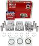 DNJ Engine Components Piston Set