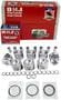 DNJ Engine Components Piston Set