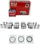 DNJ Engine Components Piston Set