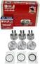 DNJ Engine Components Piston Set