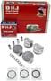 DNJ Engine Components Piston Set