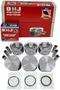 DNJ Engine Components Piston Set