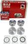 DNJ Engine Components Piston Set