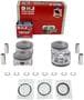 DNJ Engine Components Piston Set