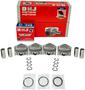 DNJ Engine Components Piston Set