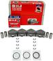 DNJ Engine Components Piston Set