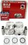 DNJ Engine Components Piston Set