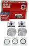 DNJ Engine Components Piston Set