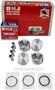 DNJ Engine Components Piston Set