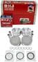 DNJ Engine Components Piston Set