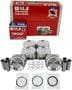DNJ Engine Components Piston Set