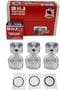 DNJ Engine Components Piston Set