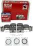 DNJ Engine Components Piston Set