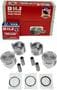 DNJ Engine Components Piston Set