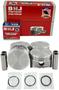 DNJ Engine Components Piston Set