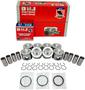 DNJ Engine Components Piston Set