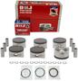 DNJ Engine Components Piston Set