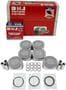 DNJ Engine Components Piston Set