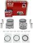 DNJ Engine Components Piston Set