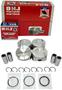 DNJ Engine Components Piston Set