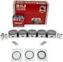 DNJ Engine Components Piston Set