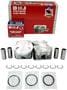 DNJ Engine Components Piston Set