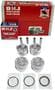 DNJ Engine Components Piston Set