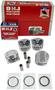 DNJ Engine Components Piston Set