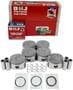 DNJ Engine Components Piston Set
