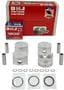DNJ Engine Components Piston Set