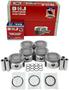 DNJ Engine Components Piston Set