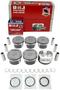 DNJ Engine Components Piston Set
