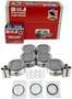 DNJ Engine Components Piston Set