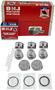 DNJ Engine Components Piston Set