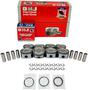 DNJ Engine Components Piston Set