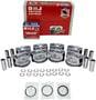DNJ Engine Components Piston Set