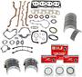 DNJ Engine Components Re-Ring Kit