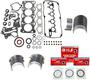 DNJ Engine Components Re-Ring Kit